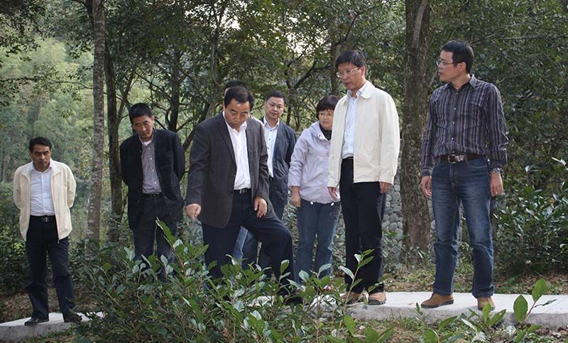 區(qū)委、區(qū)政府關(guān)注公司桃源野茶谷建設(shè)與發(fā)展情況.jpg